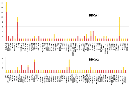 BRCA1 and BRCA2 genes