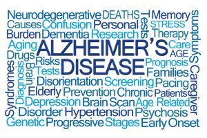 Northern Charitable Foundation - Alzheimer's risk factors